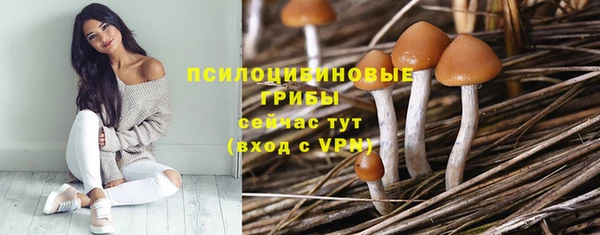 дживик Алексеевка
